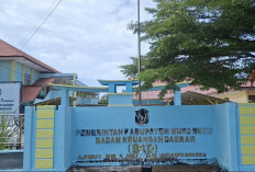 Realisasi DBH Sawit Mukomuko Baru 20 Persen, BKD Dorong Percepatan