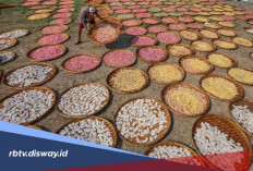 Modal Usaha Besar Cicilan Ringan, Cek Simulasi Angsuran KUR BRI Juni 2026 Rp 200 Juta