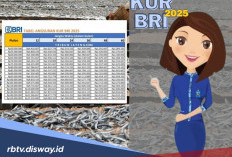 PNS Mau Pinjam KUR BRI Rp 500 Juta, Lengkapi Syarat Ini dan Cek Angsuran Bulanannya