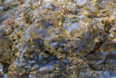 Shocking the World, Indonesia Reveals a Gold-Plated Island