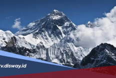 5 Gunung Tertinggi di Indonesia, Adakah yang Tahu Letaknya di Provinsi Mana