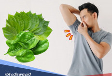 8 Cara Ampuh Hilangkan Bau Ketiak Tanpa Deodorant