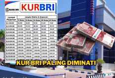 Pengajuan KUR BRI Ditolak Karena Data Tidak Valid, Jangan Stres Dulu, Ini Cara Mengatasinya