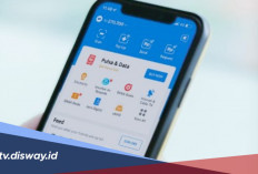 Aplikasi Penghasil Saldo DANA Terbukti Bayar: Cuan Ratusan Ribu Bukan Mimpi