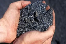 5 Provinsi yang Punya Tambang Nikel Terbesar di Indonesia, Adakah Daerahmu?