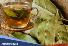 Cara Mengolah Daun Salam untuk Menurunkan Kadar Kolesterol Jahat