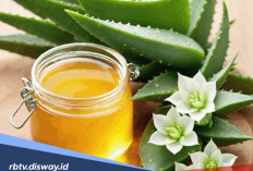 Tips Menghilangkan Bekas Jerawat di Wajah Secara Alami Menggunakan Masker Lidah Buaya dan Madu