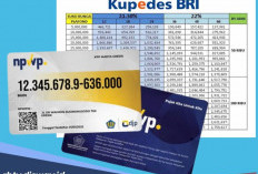 Pinjaman Kupedes BRI 2026 Rp 20 Juta, Apakah NPWP Wajib Ada?
