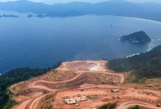 4 Provinsi di Indonesia yang Punya Tambang Emas Terbesar