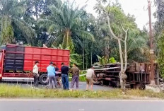 Gagal Menanjak, Truk Muatan 10 Ton Semen Terguling di Jalan Dua Jalur Tais Seluma