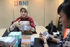 Pembiayaan Modal Usaha KUR BNI 2026, Pinjaman Rp 50 Juta Cicilan Ringan