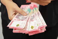 Tidak Sebesar Tahun Lalu, Ini Rincian Dana Desa 2026 di Kabupaten Lampung Barat