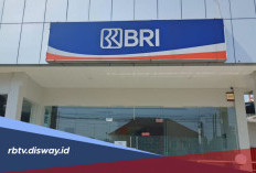 Berencana Pinjam KUR BRI Rp 80 Juta? Ini Syarat dan Simulasi Cicilannya 