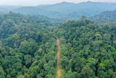 Terobosan Baru Pemprov Bengkulu, Disiapkan Lahan 1-2 Hektare untuk 1 Keluarga