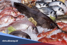 5 Jenis Ikan yang Tidak Boleh Dikonsumsi Penderita Asam Urat
