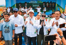 Ketua DPD RI Respon Keresahan Petani Soal Harga TBS Sawit Anjlok