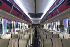 Jangan Salah Pilih, Ini Posisi Tempat Duduk Paling Aman di Bus