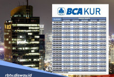 Usaha Rumahan Naik Level Lewat KUR BCA Rp 250 Juta dengan Bunga Ringan 6 Persen Per Tahun
