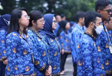 Bocoran CPNS 2026 : Jadwal dan Berkas Pendaftaran 