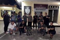 Terduga Pelaku Rudapaksa Gadis Berkursi Roda di Kota Bengkulu Diringkus Polisi, 6 Bulan Kabur ke Lampung