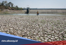 Ilmuwan Prediksi Waktu Kekeringan Ekstrem Global, Bisa Ancam 750 Juta Orang