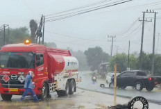 Hilang Kendali di Tikungan Desa Niur Seluma, Mobil Dinas Tabrak Truk Pertamina