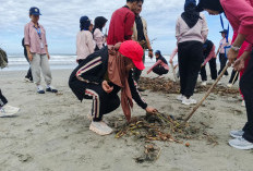 Mahasiswa FEB UNIB dan Dispar Bengkulu Kompak Bersihkan Pantai Panjang