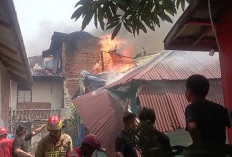 Kebakaran di Pengantungan Kota Bengkulu Hanguskan 21 Unit Rumah