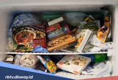 Cara Menyimpan Makanan yang Benar di Kulkas Menurut Kementrian Kesehatan