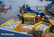 Simulasi Terbaru Angsuran KUR BRI Rp 20 Juta, Cicilan Termurahnya Segini