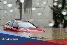 Tips Beli Mobil Bekas Bebas Banjir, Jangan Sampai Menyesal!