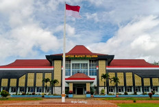 Keuangan Minus, Pemkab Seluma Surati Kemenkeu dan Pemprov Bengkulu Minta Pencairan DBH Rp 77 Miliar
