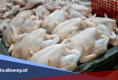 Kenali 5 Ciri Daging Ayam Berformalin agar Tidak Salah Pilih