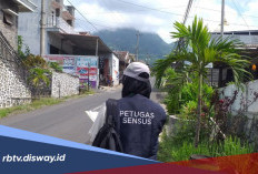 Lulus Rekrutmen tapi Tidak Terpilih Jadi Petugas Sensus Ekonomi 2026, Bagaimana?