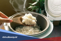 Biar Nggak Mubazir, Ini Rahasia Nasi Tidak Mudah Basi Walaupun di Rice Cooker