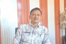 Program Opla Non Rawa Capai 90 Persen, Dinas Pertanian Mukomuko Targetkan Rampung Akhir 2025