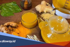 Resep Jamu Tradisional yang Ampuh Turunkan Kolesterol, Alami dan Mudah Didapatkan