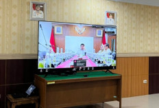 Idul Adha 2026: Bengkulu Dapat 11 Ekor Sapi Kurban dari Presiden Prabowo