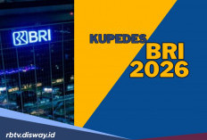 Antara Kupedes dan KUR BRI, Mana yang Lebih Cocok Diajukan Tahun 2026?