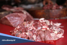 Banyak yang Tanya, Apakah Semua Daging Kurban Harus Langsung Masuk Freezer?