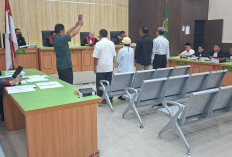 Sidang Korupsi PT RSM, Begini Peranan Sejumlah Warga Negara Australia