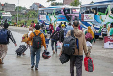 Program Mudik Gratis BUMN 2026 Sudah Dibuka, Ini Rute dan Jadwal Keberangkatan