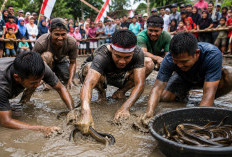 Seru dan Bikin Semua Orang Tertawa, Begini Sejarah Lomba Tangkap Belut