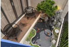 Solusi Ingin Punya Kolam Hias tapi Lahan Terbatas, Begini Caranya