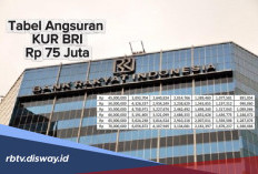 Tabel Angsuran KUR BRI Rp 75 Juta Tahun 2026, Cek Cicilan per Bulan dan Tenornya
