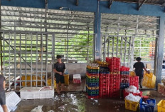 Stok BBM Nelayan Bengkulu Aman hingga Lebaran, DKP Pastikan Pasokan SPBN Tersedia