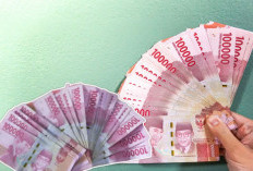 Banyak yang Tanya, Berapa Gaji PPNPN Bea Cukai Lampung?