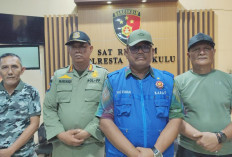 Danton Satpol PP Kota Bengkulu Laporkan Oknum Pedagang ke Polisi, Kasus Dugaan Pengancaman