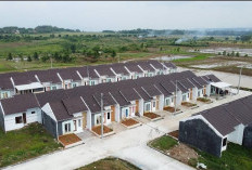 Dukung Program Tiga Juta Rumah, BRI Salurkan KPR Subsidi Rp16,16 Triliun kepada 118 Ribu Debitur 