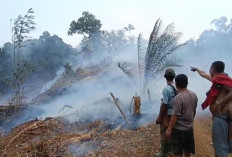 Sejak Fenomena El Nino, Peristiwa Karhutla di Bengkulu Tengah Hanguskan 18,5 Hektar Lahan